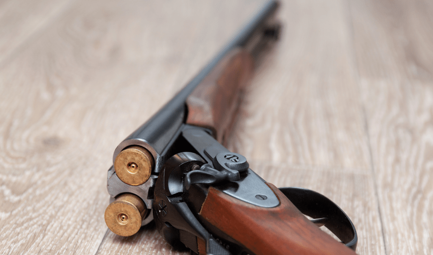 SHOTGUNS
